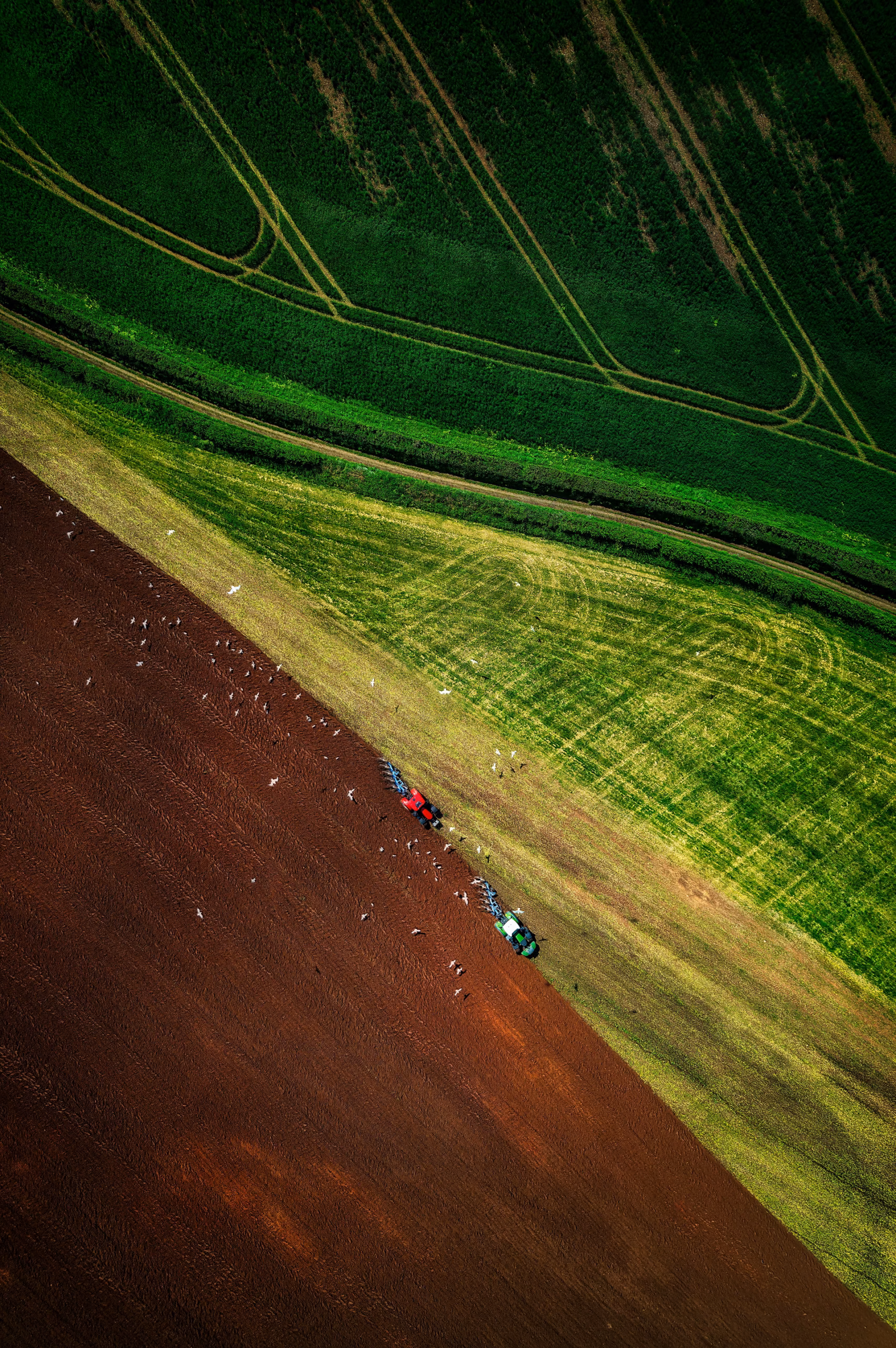Prockters Farm